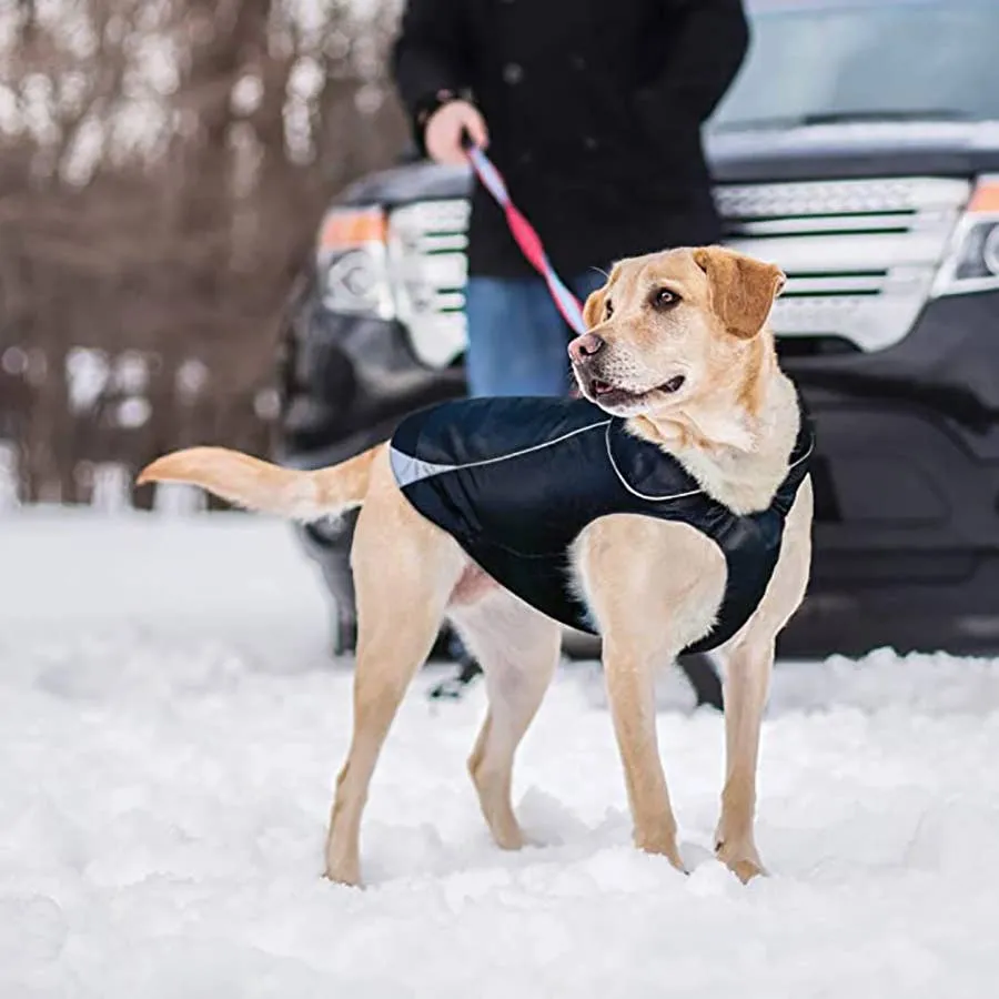 PetSafe North Country Dog Coat